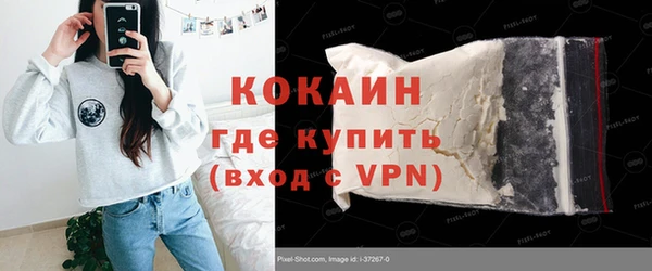 сатива Кулебаки