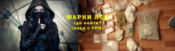 сатива Кулебаки