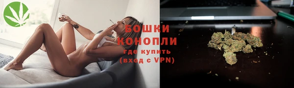 ALPHA PVP Куйбышев