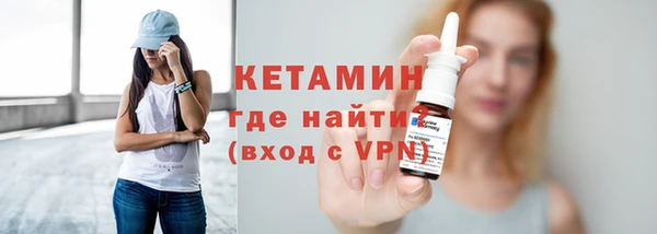 сатива Кулебаки