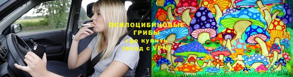 сатива Кулебаки