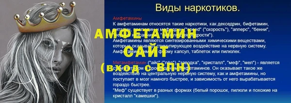 сатива Кулебаки