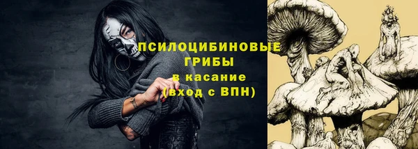 ALPHA PVP Куйбышев