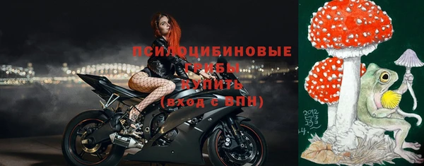 ALPHA PVP Куйбышев