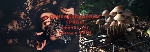 сатива Кулебаки