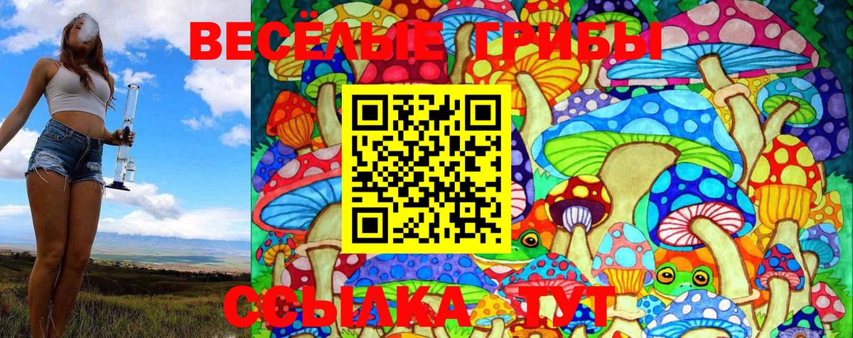 Псилоцибиновые грибы MAGIC MUSHROOMS  купить   Урай  Галлюциногенные грибы Cubensis 