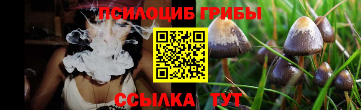 Урай  Псилоцибиновые грибы прущие грибы  Вход с VPN 
